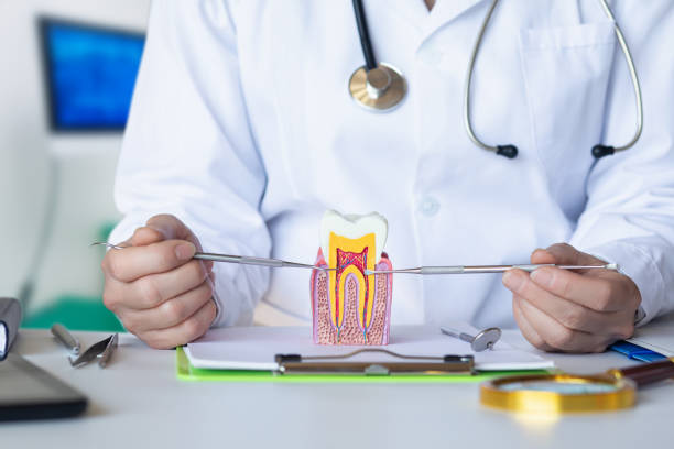 Best Emergency Root Canal Treatment in Foreman, AR